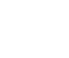 Angels & Dragonflies Footer Logo